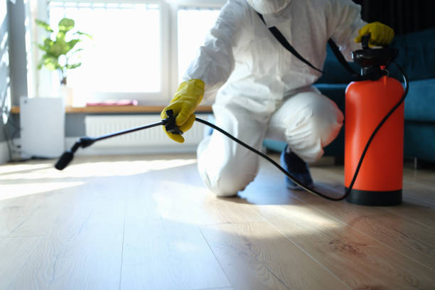 Reliable Infectious Disease Decontamination contractor in Wiley, GA by Trauma Clean Pros